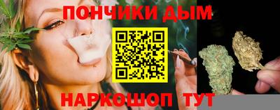 Альфа ПВП Можга