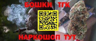 Альфа ПВП Можга