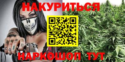 Альфа ПВП Можга